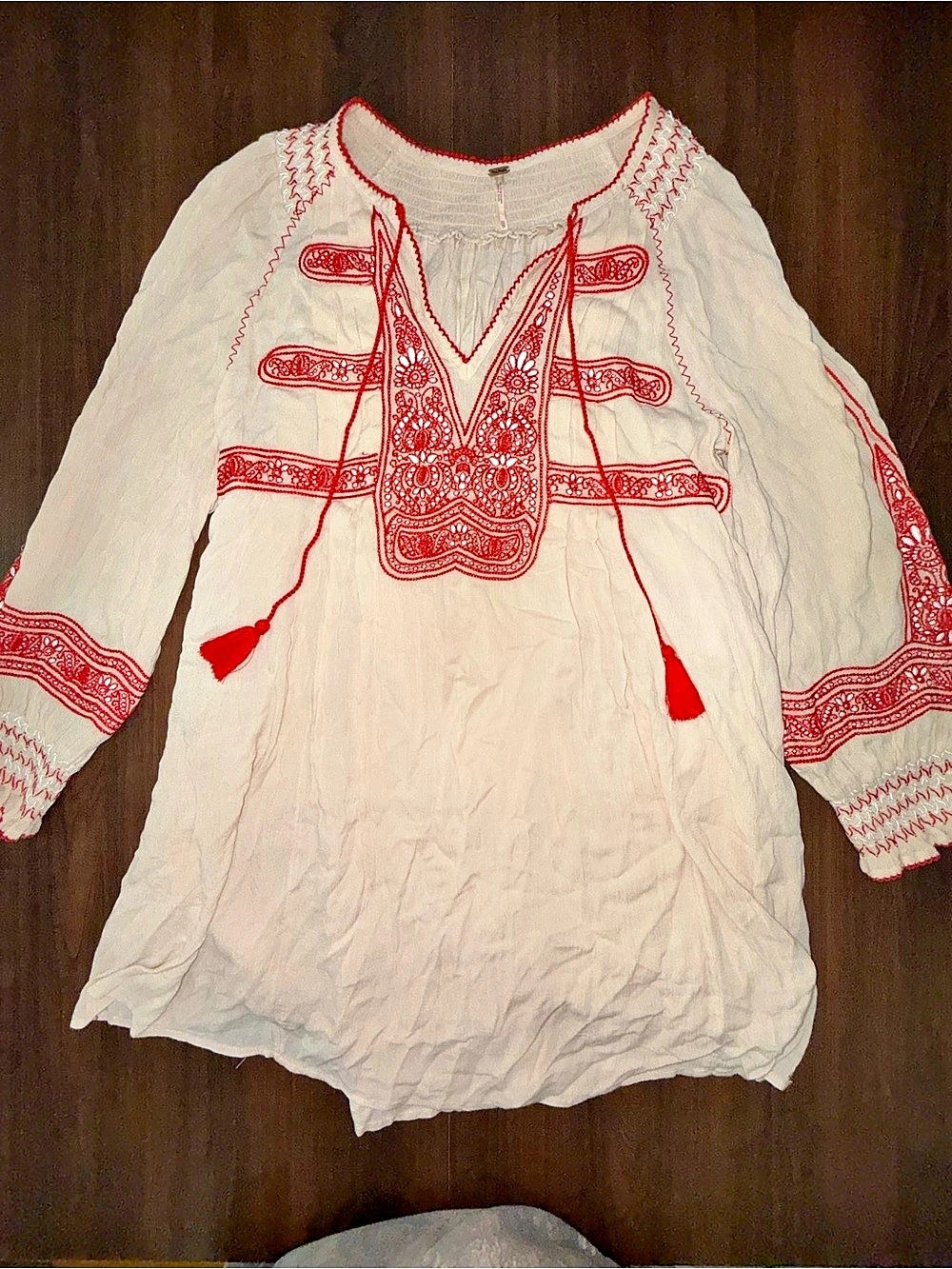 Free People Wind Willow Embroidered Mini Dress XS